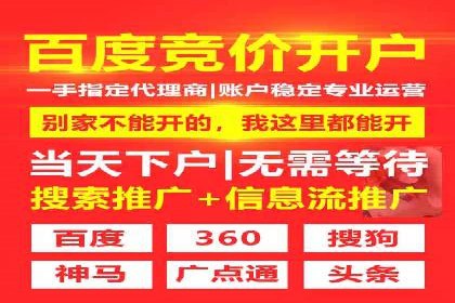 某企业SEM广告投放的ROI提升之路